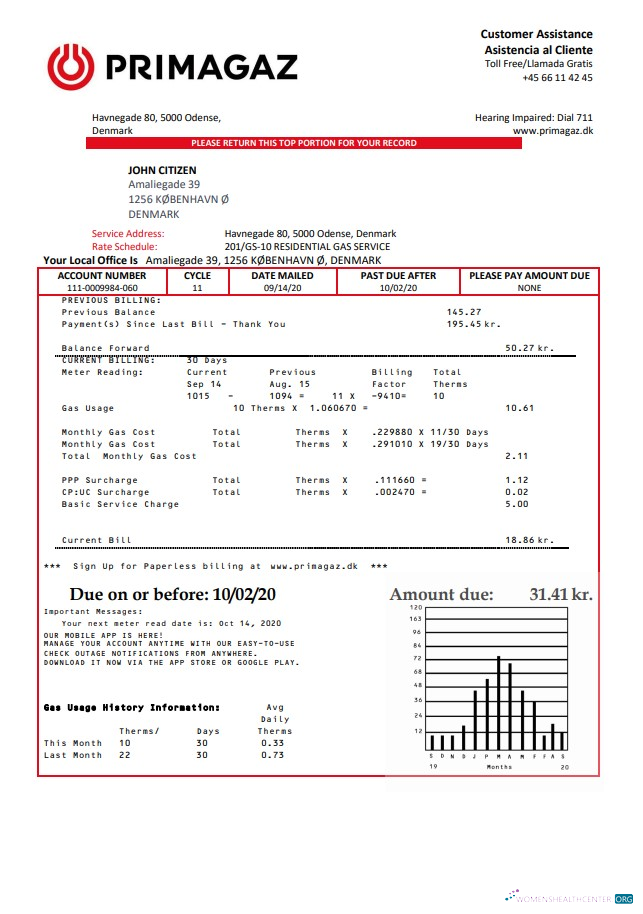 download Denmark Primagaz Denmark gas utility bill template in Word and PDF format PDF template